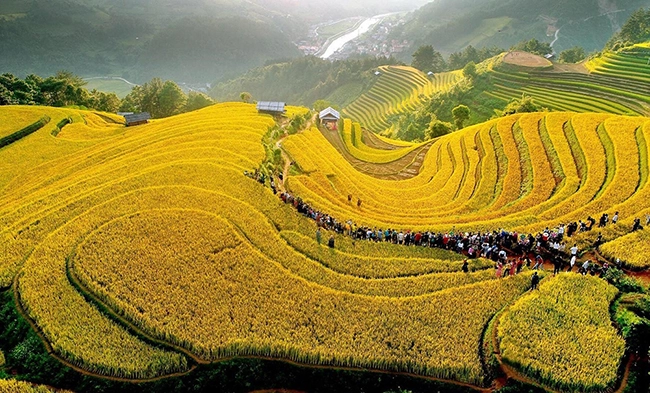 Green Peaks and Golden Valleys: The Ultimate Guide to Sustainable Travel Mu Cang Chai